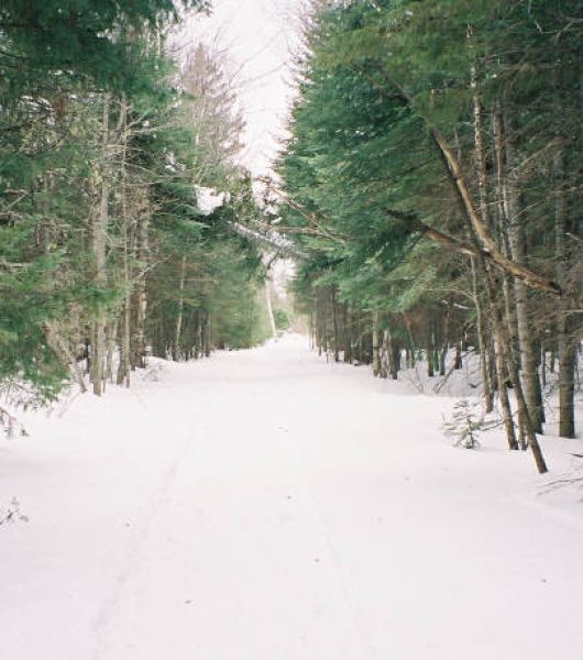 oxbow driveway 2.jpg